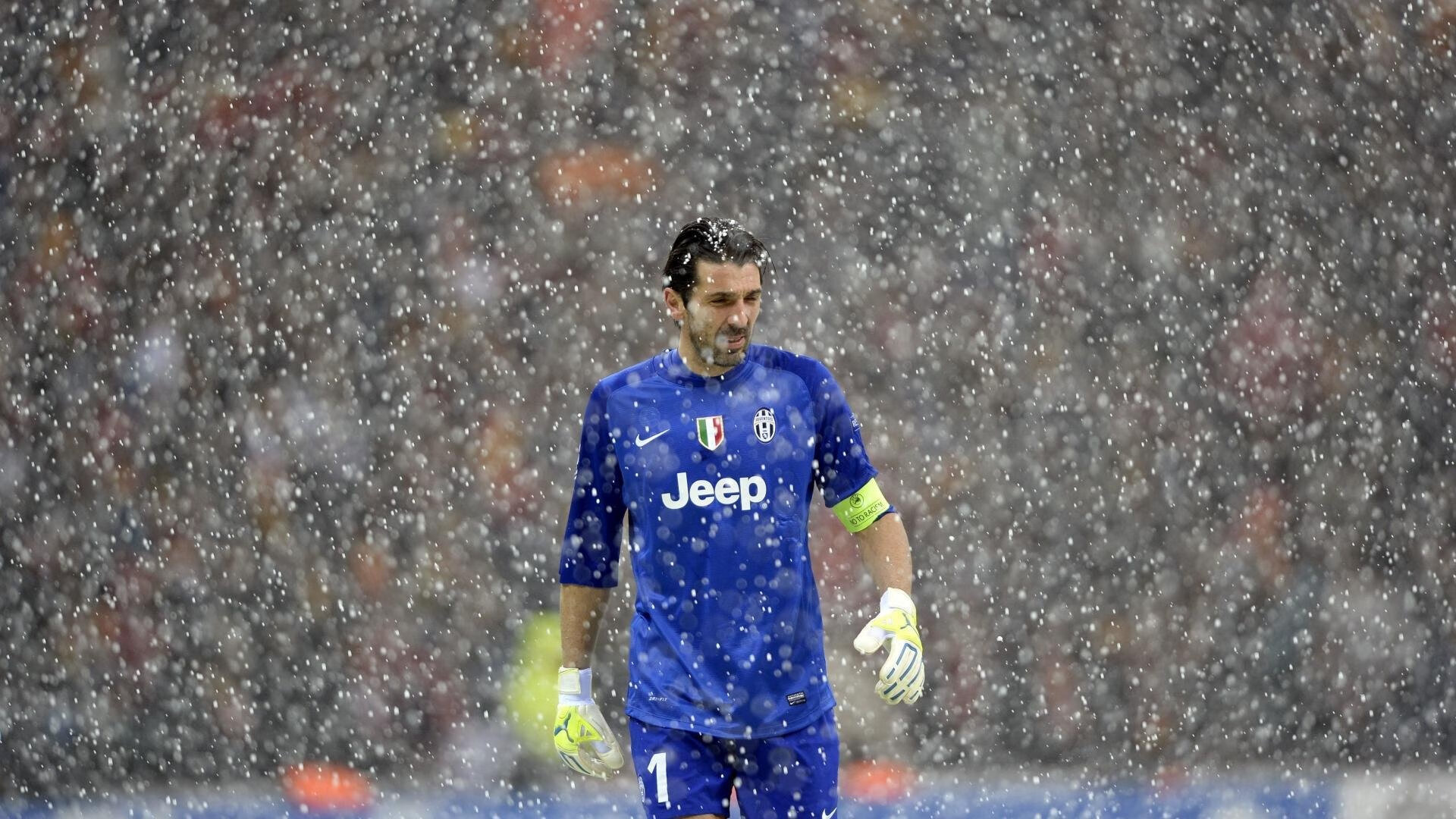 “美洲狮队再度登顶，阿根廷橄榄球未来光明”